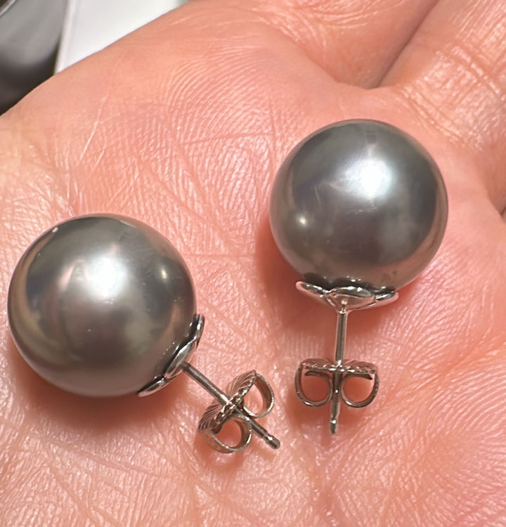 13.2mm round gray Tahitian pearl stud earrings set in 14K white gold.